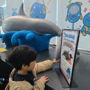 고래생태체험관 화장실 | 울산 가볼만한곳 장생포 모노레일 고래생태체험관 돌고래쇼 솔직 후기