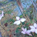 사봉농장 이미지