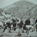 30년전의 민둥산 - 청대산 이미지