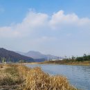 강변에서 이미지