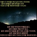 자연히 이미지