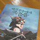 언니네티라미수&오빠네밀크티 | 6월에 한 것: 먹기
