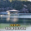 GS25 성산용지중앙점 | 부산에서 창원 용지호수공원 벚꽃 개나리 명소 가는법 음악분수 시간표