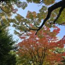 11월5일 🍃뉴스브리핑🍃 이미지