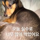 듀