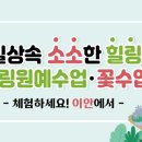 이안도매