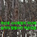 새벽폭설 오후 짬 상황수확 산행.208 (수도꼭지불량 읍네후) 이미지