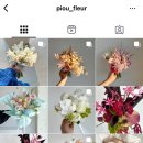 피오유플레르
