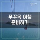 VIP카매니아 | 해외여행 준비 ♡ 푸꾸옥 여행 필수 예약 액티비티 정리