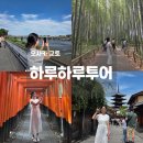 오사카 근교 여행 교토 당일치기 버스투어 하루하루투어 내돈내산 후기