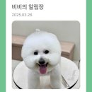 하이벨몽 이미지