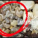 유향한의원 이미지