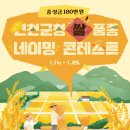 연천군청 이미지