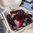 뚜벅이 경기도 + 추가 졸업학기 수강신청후기
