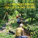 윤동농장 Daum카페