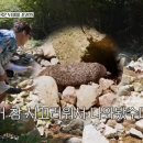 끼리끼리 뉴스엔