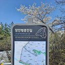 4월 12일(화) 중랑천 벚꽃길~배봉산~답십리근린공원 이미지