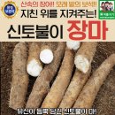 장어야 이미지