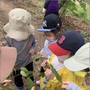 난향동-9 이미지