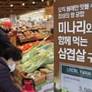미나리사랑 이미지
