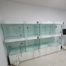 김해 강아지분양 두부네 하루 이미지