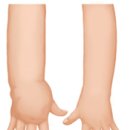 더뉴로메카닉 이미지
