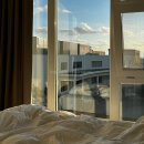 등대세탁소 | 제주 | 휘닉스 아일랜드 리조트 숙박 제주 동쪽 성산 숙소 추천 코지 뷔페 수영장 후기