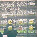 농업회사법인 바른팜 - 서구 개찰구 | 농업회사법인 바른팜