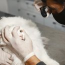 경주동물메디컬센터 이미지