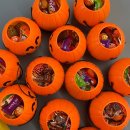 YK 유도클럽 이미지