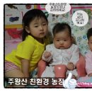 다희농장 이미지