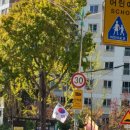 황송게이트볼장 이미지