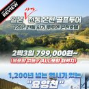 사가온천 올포함 골프 항공팩「79.9만원~」2박3일 기준, 2인가능 이미지