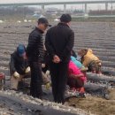 새천년농원 이미지