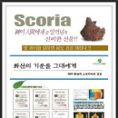 (주)대한에이피산업