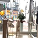 써니몽 이미지