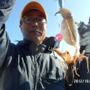 대학당안경 이미지