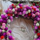 매화로4길 이미지