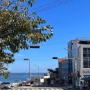 &#39;부산 바다를 따라 걷고 달리는 여름&#34; 오시리아 해안산책로 &amp; 블루라인파크, 감성 산책 이미지