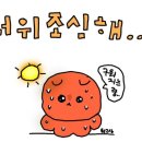 발루아 이미지
