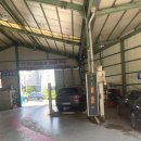 코리아카독크 이미지