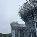 GR(영월군)-[영월로]-하-43 | 5박 6일 영월 평창 강릉 여행 D+5: 강릉 하슬라아트월드, 평창 대관령양떼목장, 대관령코스터, 평창동계...