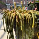 한우회관 이미지