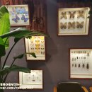 에콜로지아 이미지