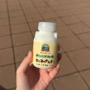 후쿠오카 유후인 버스투어 후기｜유후인·벳부 하루 코스