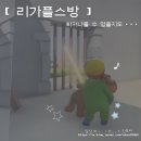 리가플스방 이미지