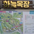하늘목장 | 여름에도 시원하다! 평창 아이와 가기 좋은 대관령 하늘목장 방문 후기 (꿀팁 포함)