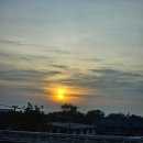 [태국/방콕,파타야] 이 모든게 일주일만에 일어났다구요? 여자 혼자 2박3일 태국 여행기 ✈️