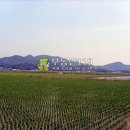 구하리농장 이미지