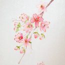 대구혁신미인캘리그라피 이미지